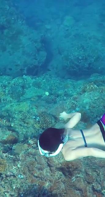 如何通过会议租车优化您的商务旅行？